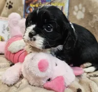 processed/efceb22a-1ff2-4daa-8608-9ee39e492ce9/listing/32a69637-d3ec-4b56-aed4-7385174e54e7/1d2cfbfc-7b6c-4b45-a24c-d036c7cda5cc