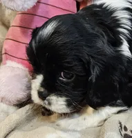 processed/efceb22a-1ff2-4daa-8608-9ee39e492ce9/listing/32a69637-d3ec-4b56-aed4-7385174e54e7/3385bf69-9ffd-4872-90d5-c12240c4f779