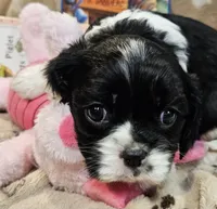 processed/efceb22a-1ff2-4daa-8608-9ee39e492ce9/listing/32a69637-d3ec-4b56-aed4-7385174e54e7/527fb222-1b11-40f0-85cb-1d4e3da127c9