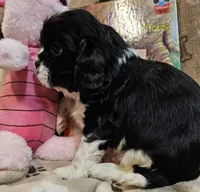 processed/efceb22a-1ff2-4daa-8608-9ee39e492ce9/listing/32a69637-d3ec-4b56-aed4-7385174e54e7/665bdd34-959e-45a8-bdb9-1ee99b64b66d