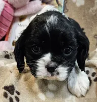 processed/efceb22a-1ff2-4daa-8608-9ee39e492ce9/listing/32a69637-d3ec-4b56-aed4-7385174e54e7/77f6d20a-b368-44e9-9729-ff6eaad5a017