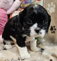 processed/efceb22a-1ff2-4daa-8608-9ee39e492ce9/listing/32a69637-d3ec-4b56-aed4-7385174e54e7/7a5d8e7a-6df4-49fd-99da-219798ef6f94