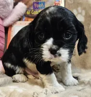 processed/efceb22a-1ff2-4daa-8608-9ee39e492ce9/listing/32a69637-d3ec-4b56-aed4-7385174e54e7/97b87589-435c-4078-a57f-eff77fe16172