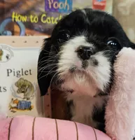 processed/efceb22a-1ff2-4daa-8608-9ee39e492ce9/listing/32a69637-d3ec-4b56-aed4-7385174e54e7/eac23572-1b3c-4a02-a833-e5bf0222f761