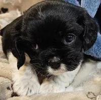 processed/efceb22a-1ff2-4daa-8608-9ee39e492ce9/listing/377905f1-4562-4e7f-8320-672445d1d11a/1c338828-5275-492b-91a7-691ec6a71ff7