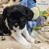 processed/efceb22a-1ff2-4daa-8608-9ee39e492ce9/listing/377905f1-4562-4e7f-8320-672445d1d11a/35841db0-8d34-4917-9212-01de5170d159