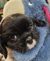 processed/efceb22a-1ff2-4daa-8608-9ee39e492ce9/listing/377905f1-4562-4e7f-8320-672445d1d11a/3d4014c9-56d5-4b7b-ac6e-3d76d3c545e7