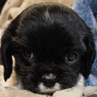 processed/efceb22a-1ff2-4daa-8608-9ee39e492ce9/listing/377905f1-4562-4e7f-8320-672445d1d11a/4f4ee64f-b121-4259-b2d1-b35ff7db9004