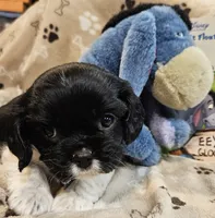 processed/efceb22a-1ff2-4daa-8608-9ee39e492ce9/listing/377905f1-4562-4e7f-8320-672445d1d11a/994250c6-a637-4444-b7b8-d9d9988a70b3