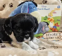 processed/efceb22a-1ff2-4daa-8608-9ee39e492ce9/listing/377905f1-4562-4e7f-8320-672445d1d11a/a59478b7-1456-41f6-b97e-2bdee1e293d3