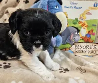 processed/efceb22a-1ff2-4daa-8608-9ee39e492ce9/listing/377905f1-4562-4e7f-8320-672445d1d11a/a7f244ba-6457-4e33-9feb-c43cd5b2e4c6