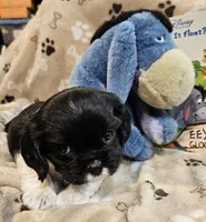 processed/efceb22a-1ff2-4daa-8608-9ee39e492ce9/listing/377905f1-4562-4e7f-8320-672445d1d11a/b809f8c0-8ba5-497e-b1c0-0d5d34e1746f