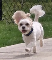 processed/efceb22a-1ff2-4daa-8608-9ee39e492ce9/listing/603e0b5c-d0ba-45ee-9319-30e7e200faa1/2676c95e-33d5-404d-afae-76907e53a5b1