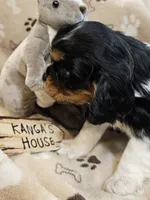 processed/efceb22a-1ff2-4daa-8608-9ee39e492ce9/listing/66a5c0cc-f983-46a2-8ea6-16c59b60a9e6/2efc0849-5b29-46a3-b89d-4e1df1046fe7