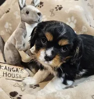 processed/efceb22a-1ff2-4daa-8608-9ee39e492ce9/listing/66a5c0cc-f983-46a2-8ea6-16c59b60a9e6/97497b6b-d2c5-4068-9b1b-daaad8c2c731