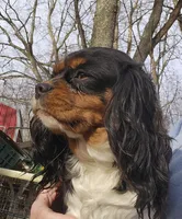 processed/efceb22a-1ff2-4daa-8608-9ee39e492ce9/listing/bf66a146-9bb3-46f6-bb16-b2ca16f16b91/1b45e30d-95fd-4c29-b7d8-d57a140fd566