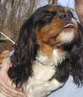 processed/efceb22a-1ff2-4daa-8608-9ee39e492ce9/listing/bf66a146-9bb3-46f6-bb16-b2ca16f16b91/8590d25c-e438-45ae-a49b-7b1df86e70f1