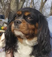 processed/efceb22a-1ff2-4daa-8608-9ee39e492ce9/listing/bf66a146-9bb3-46f6-bb16-b2ca16f16b91/901b783a-2dc6-4aa5-9e32-4e594fd0aeff