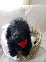 processed/efceb22a-1ff2-4daa-8608-9ee39e492ce9/listing/e1e852e6-8a63-435c-862d-cf6731cab202/542e5318-a139-4884-ae81-5a83fcc7c05f