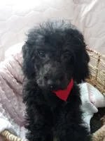 processed/efceb22a-1ff2-4daa-8608-9ee39e492ce9/listing/e1e852e6-8a63-435c-862d-cf6731cab202/a02aa8a0-9767-4872-a059-7083a46b7fe7