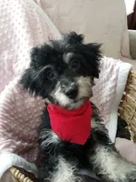 processed/efceb22a-1ff2-4daa-8608-9ee39e492ce9/listing/e200feef-a8d0-4715-ba0e-5bcf025628b4/fb5ec737-1692-4d6f-bffb-f068fcabe042