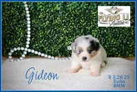 processed/efd308c7-cbd1-48e3-a632-02703860e064/listing/035a07e1-cb8d-4afe-add4-2f688c091b17/03de9930-a2cc-4e3b-9423-c0e5c3c26186