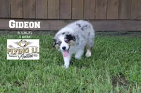 processed/efd308c7-cbd1-48e3-a632-02703860e064/listing/035a07e1-cb8d-4afe-add4-2f688c091b17/1a8939e2-6ebb-4afa-bfc6-68912fff5872