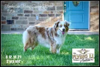 processed/efd308c7-cbd1-48e3-a632-02703860e064/listing/035a07e1-cb8d-4afe-add4-2f688c091b17/8fb7bd97-fe33-4414-be07-059b47b579ea