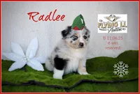 processed/efd308c7-cbd1-48e3-a632-02703860e064/listing/5d94b1bb-8ad3-427c-a515-2552e0fca940/9efff3e2-e430-413b-89fe-7ddd45d73d7f