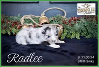 processed/efd308c7-cbd1-48e3-a632-02703860e064/listing/5d94b1bb-8ad3-427c-a515-2552e0fca940/ba019346-0868-44c8-a8ea-b652e03f14ac