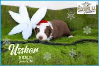 processed/efd308c7-cbd1-48e3-a632-02703860e064/listing/ecb07675-4de9-448c-8ab2-f1c0f5e2b51d/1406a035-238a-461a-be06-c6b179a7d12a