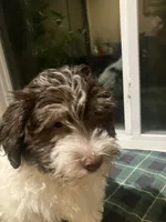 processed/efd5e80b-7171-43e3-9c23-3dfa24f5c4cf/listing/8c1e9ff9-539a-47e8-a332-b6238601246d/426c33b0-997b-4d72-badd-2234d151957c