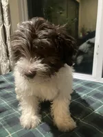 processed/efd5e80b-7171-43e3-9c23-3dfa24f5c4cf/listing/8c1e9ff9-539a-47e8-a332-b6238601246d/73806203-8d43-4afb-ba32-17b710584362