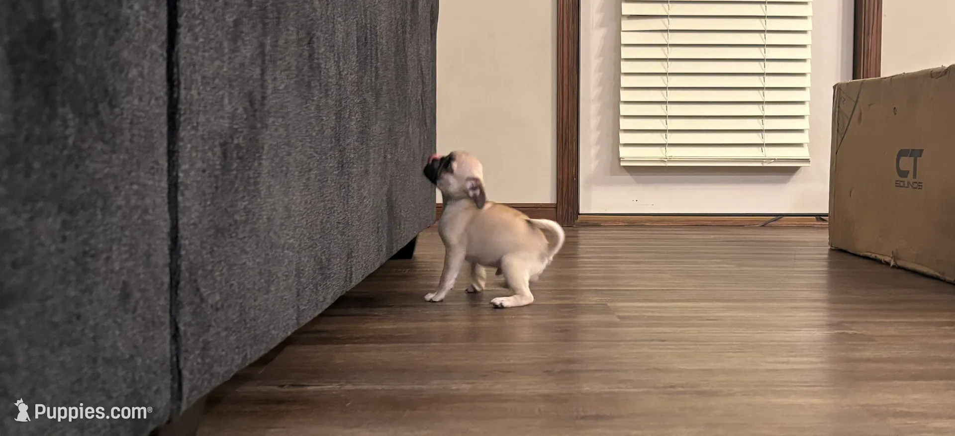 processed/efd77b20-3ed4-43b9-9b21-4dc777a2510f/listing/a52efc6c-cbca-4362-80fe-df438cb0c37d/1b2d4e31-1126-4883-a59e-9160991e874c