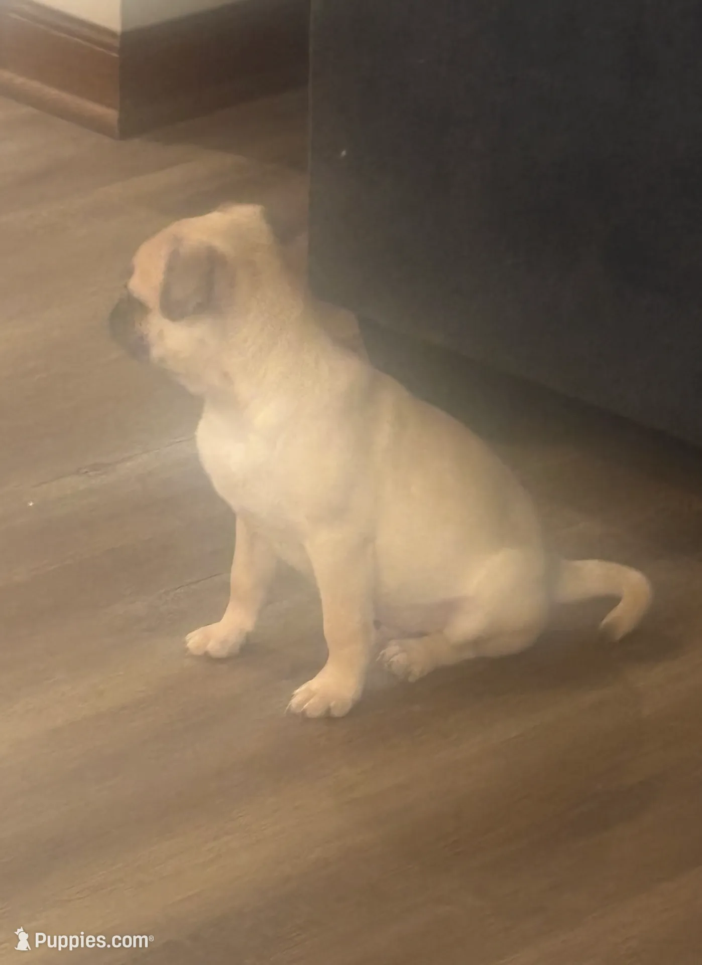 processed/efd77b20-3ed4-43b9-9b21-4dc777a2510f/listing/a52efc6c-cbca-4362-80fe-df438cb0c37d/a8c4121b-53a5-4074-b3c3-2fe6e78119e4