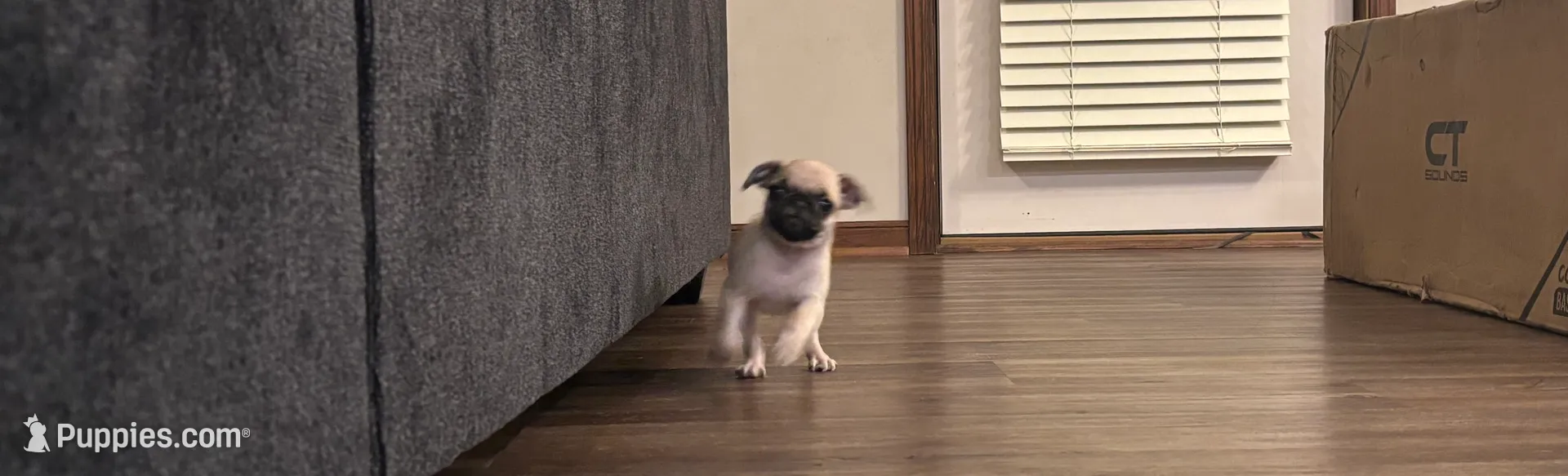 processed/efd77b20-3ed4-43b9-9b21-4dc777a2510f/listing/a52efc6c-cbca-4362-80fe-df438cb0c37d/b1c406fe-6c29-4ea9-9e8d-28af509a4bac