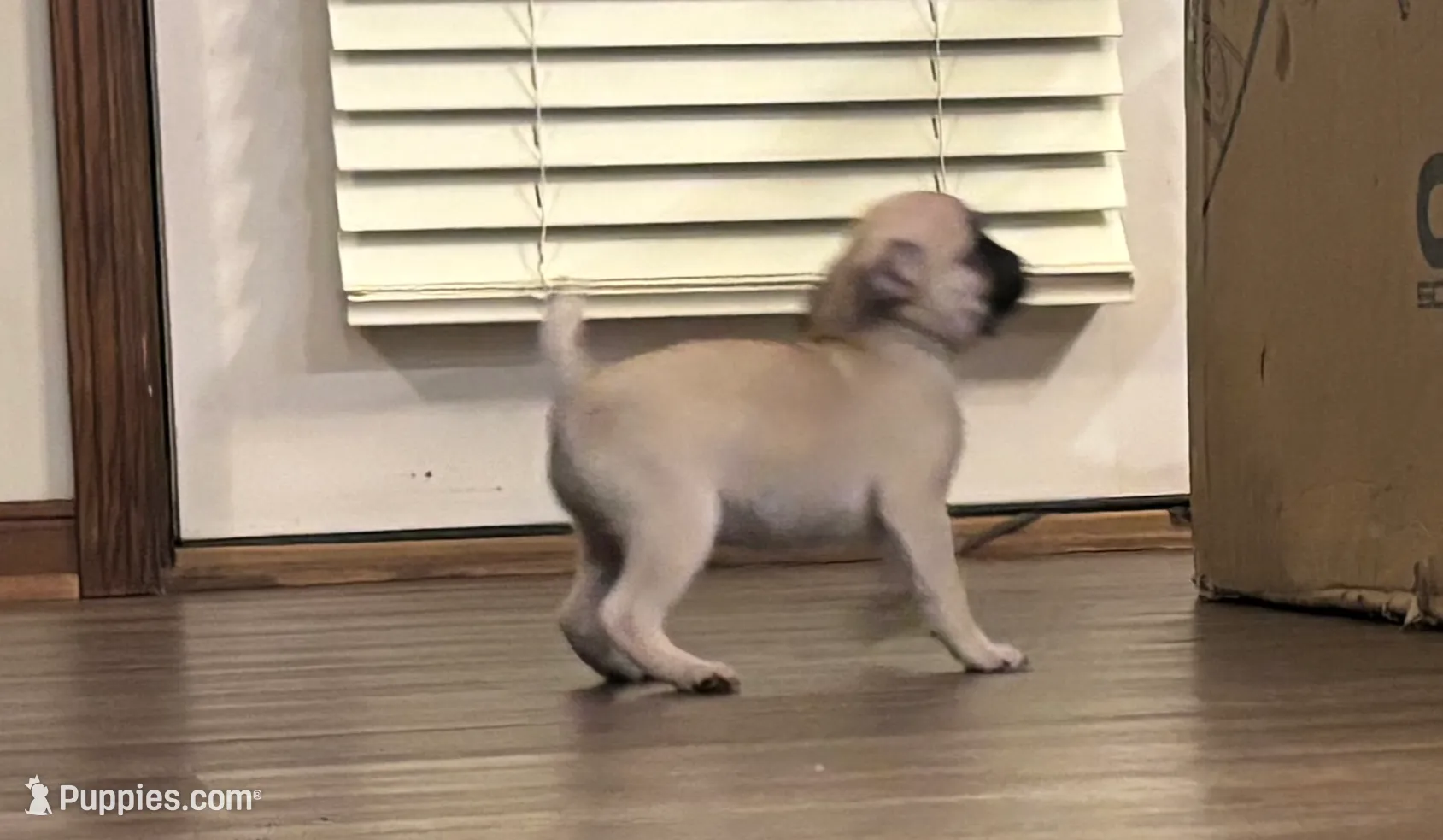 processed/efd77b20-3ed4-43b9-9b21-4dc777a2510f/listing/a52efc6c-cbca-4362-80fe-df438cb0c37d/b24f33f8-f896-4218-80a7-baf48c95f785