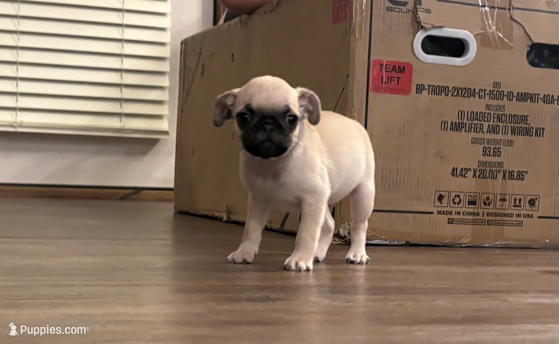 processed/efd77b20-3ed4-43b9-9b21-4dc777a2510f/listing/a52efc6c-cbca-4362-80fe-df438cb0c37d/baf19f41-6db2-4be1-b3c5-f05fa41164ad