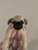 processed/efd77b20-3ed4-43b9-9b21-4dc777a2510f/listing/a52efc6c-cbca-4362-80fe-df438cb0c37d/e0bc4053-2db6-4dc0-9ac8-178b570e097f