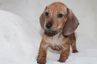 processed/efd86019-180b-4647-b795-2f2a5329f0e3/listing/28af1066-ee81-4cf1-995c-04bb99872e72/01693482-2d0c-481d-bcbd-6f3eec0489f4