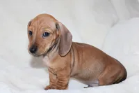 processed/efd86019-180b-4647-b795-2f2a5329f0e3/listing/28af1066-ee81-4cf1-995c-04bb99872e72/39c65dd4-ac51-4bbb-a904-3851de6da787