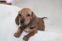 processed/efd86019-180b-4647-b795-2f2a5329f0e3/listing/28af1066-ee81-4cf1-995c-04bb99872e72/a8e7c8c4-aa71-4aaa-aff4-cd3701c2bd2a