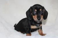 processed/efd86019-180b-4647-b795-2f2a5329f0e3/listing/dee15c06-e3bd-42a8-acc6-a6ae9690f3d2/019be16e-9ec5-412f-95ab-a6059f6eb555