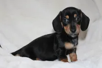 processed/efd86019-180b-4647-b795-2f2a5329f0e3/listing/dee15c06-e3bd-42a8-acc6-a6ae9690f3d2/465355f1-1447-4146-902e-1605fa998fdd