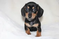 processed/efd86019-180b-4647-b795-2f2a5329f0e3/listing/dee15c06-e3bd-42a8-acc6-a6ae9690f3d2/d1d1398d-2943-4cd6-ad9d-7d3c2a27f5d3