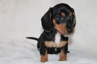 processed/efd86019-180b-4647-b795-2f2a5329f0e3/listing/f2564854-b4c3-43f2-b599-51e477a6563d/bb1dbc58-67cd-49b6-828a-96c42c079aed