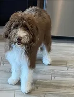 processed/efe01cf8-0ba3-4b10-8ae2-8be7b4dc3b4e/facility/34fabade-f1f4-42b1-9418-b2bdc5a280f3