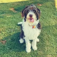 processed/efe01cf8-0ba3-4b10-8ae2-8be7b4dc3b4e/facility/40ad033c-7560-4f97-9f40-2f41004d6854