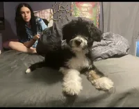 processed/efe01cf8-0ba3-4b10-8ae2-8be7b4dc3b4e/facility/b0908632-3d66-4563-96ad-a12c12a96033