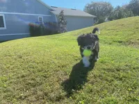 processed/efe01cf8-0ba3-4b10-8ae2-8be7b4dc3b4e/facility/ba4bdf4f-4d47-44a4-93eb-ab93fea326c4